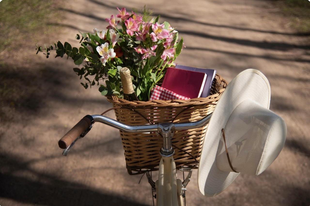 Jak dbać o rower elektryczny?